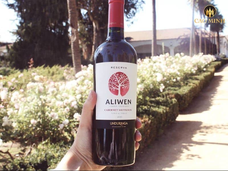 Nếm thử hương vị tuyệt vời của chai rượu vang Chile Aliwen Reserva Cabernet Sauvignon