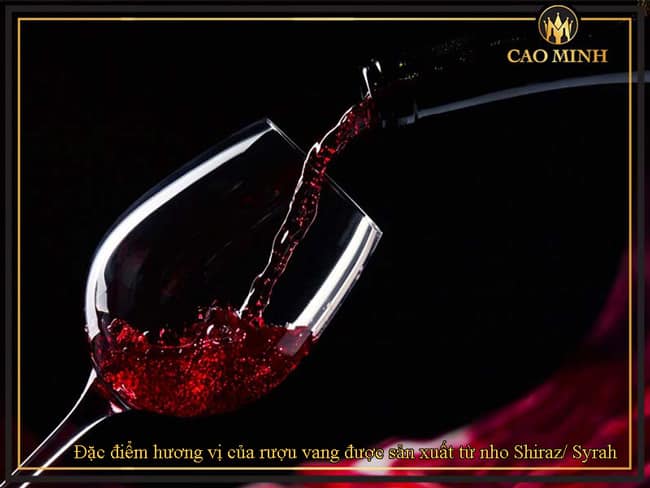 Đặc điểm hương vị của rượu vang được sản xuất từ nho Shiraz/ Syrah