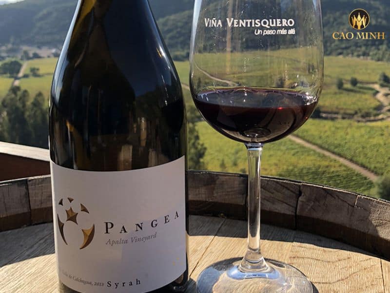 Nếm thử hương vị tuyệt vời của chai rượu vang Chile Pangea Syrah