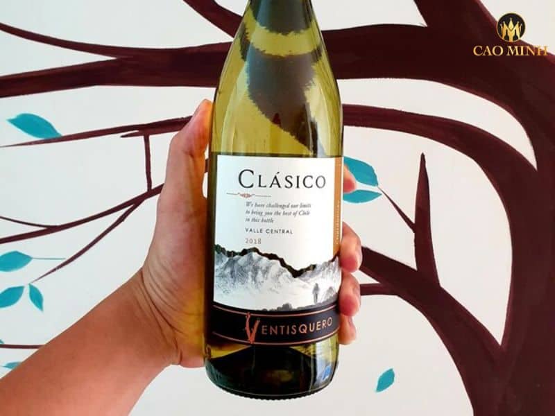 Nếm thử hương vị tuyệt vời của chai rượu vang Chile Ventisquero Clasico Chardonnay