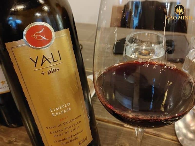 Nếm thử hương vị tuyệt vời của chai rượu vang Chile Yali Plus Limited Release