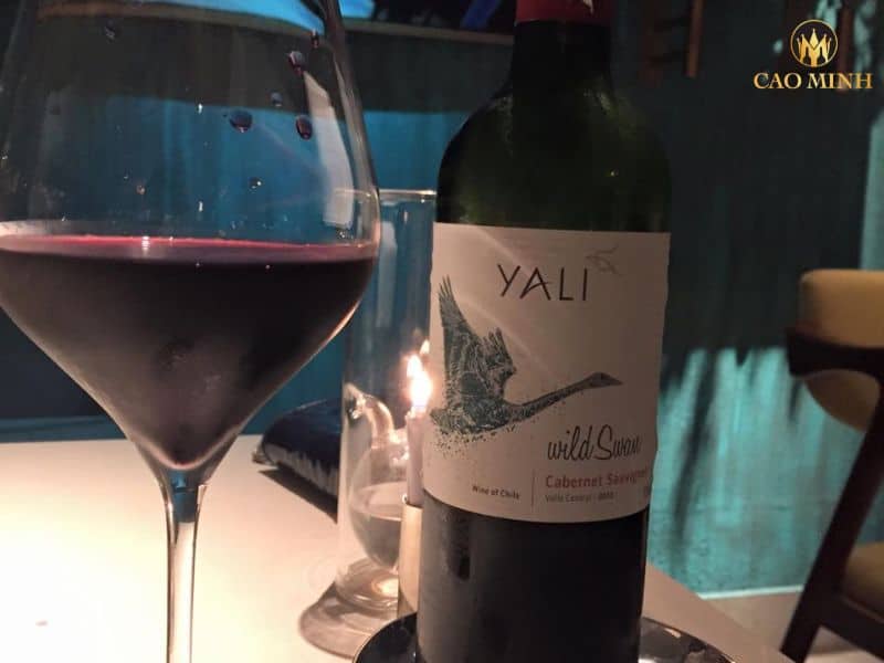 Nếm thử hương vị tuyệt vời của chai rượu vang Chile Yali Swan Cabernet Sauvignon