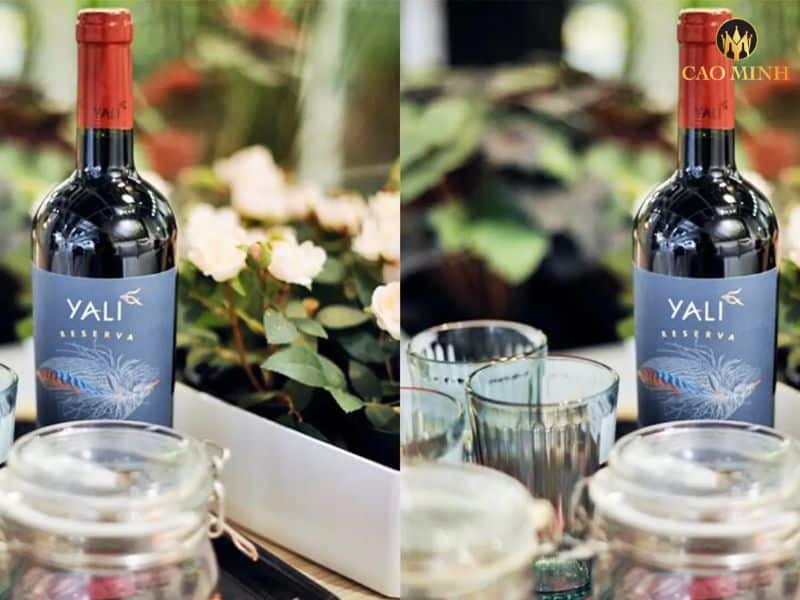 Nếm thử hương vị tuyệt vời của chai rượu vang Yali Reserva Cabernet Sauvignon