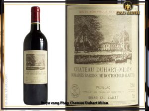 Rượu vang Pháp Chateau Duhart Milon