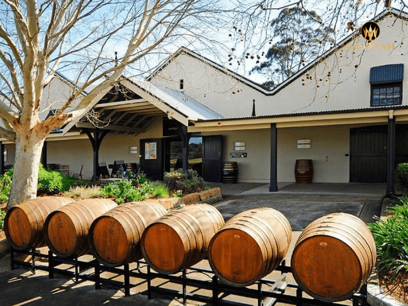 Wyndham Estate - Nhà sản xuất rượu vang Bin 999 Merlot trứ danh