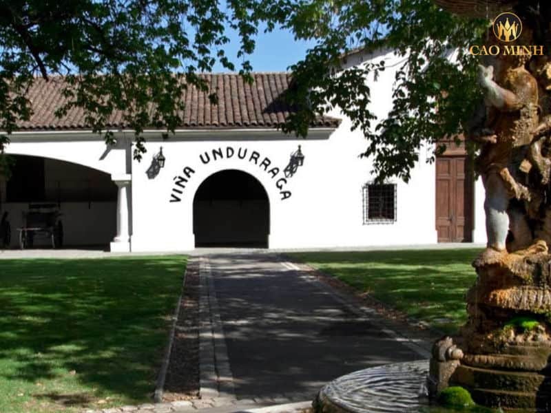 Tìm hiểu về Undurraga - Thương hiệu rượu vang bậc nhất tại Chile