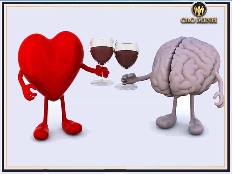 Giảm nguy cơ mắc bệnh tim. đột quỵ và tử vong sớm