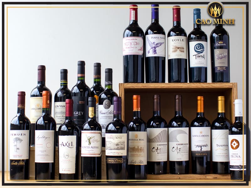 Rượu Vang Carmenere Chile