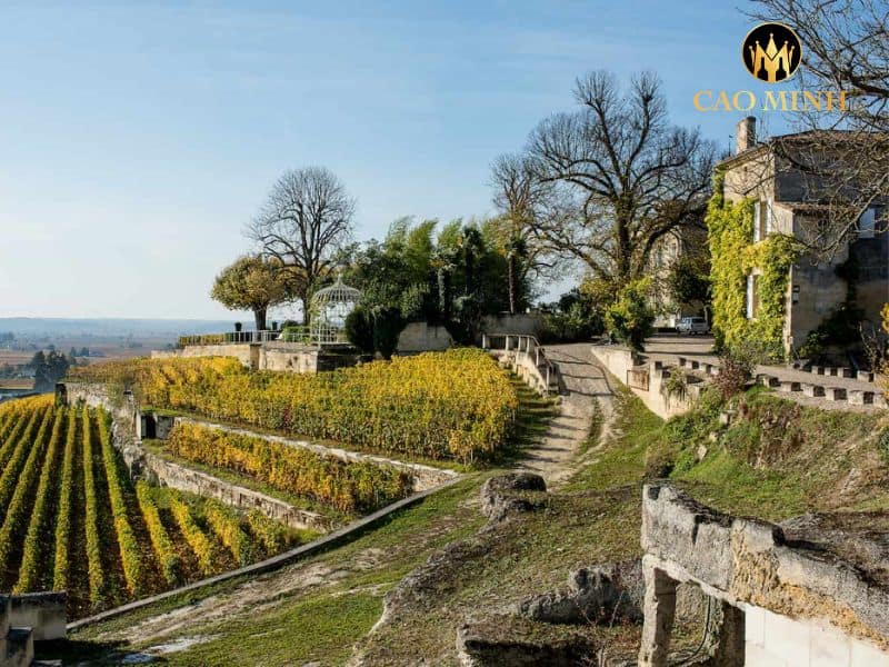 Château Ausone