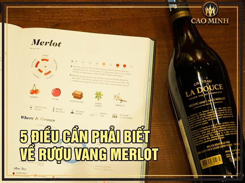 5 Điều Cần Phải Biết Về Rượu Vang Merlot