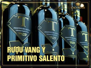 Top 15 Chai Rượu Vang Ý Primitivo Salento Nhập Khẩu Chính Hãng Được Ưa Chuộng Hiện Nay