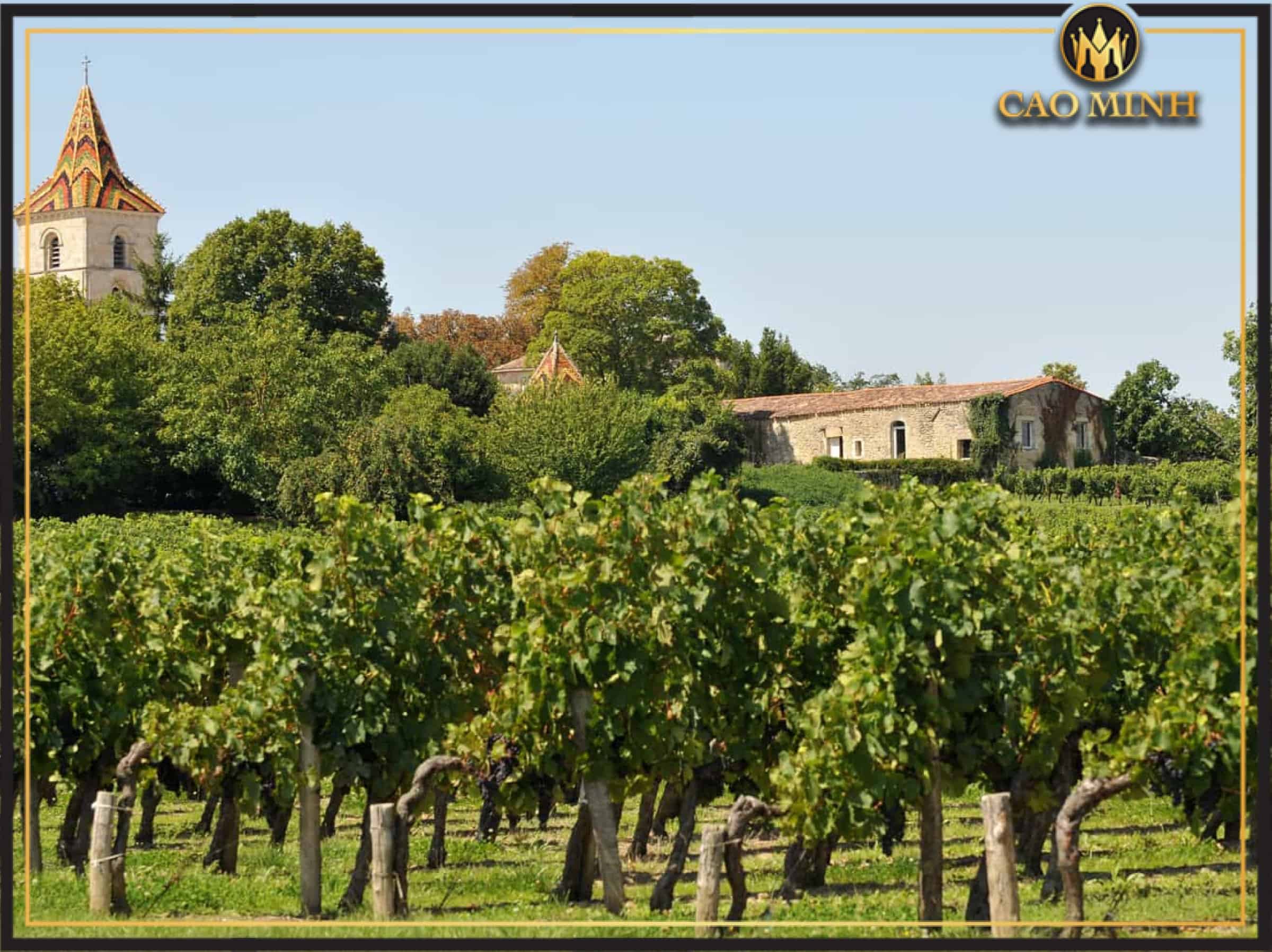 Nguồn gốc của vườn nho Côtes de Bourg - Nơi sinh ra những chai vang Château Belair-Coubet