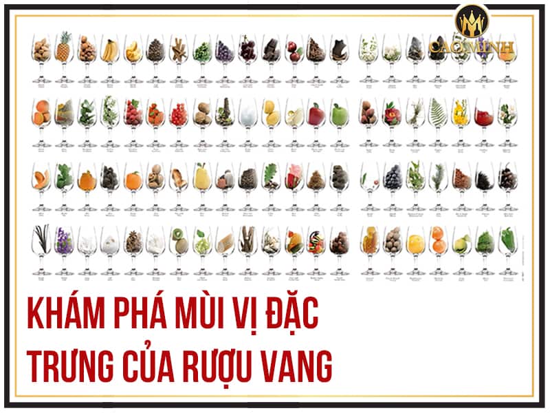 Rượu vang có vị gì? Khám phá mùi vị đặc trưng của rượu vang