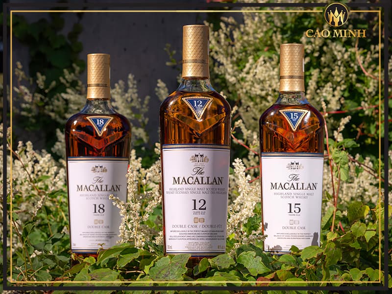 Màu sắc đặc biệt của rượu Macallan chính là nhờ thùng gỗ sồi