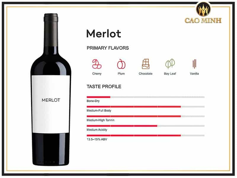 Đặc điểm có trong rượu vang 100% Merlot