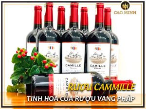 Rượu Camille - Tinh hoa của rượu vang Pháp