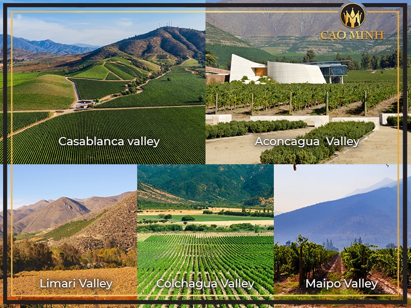 5 Vùng sản xuất rượu vang Chile cao cấp