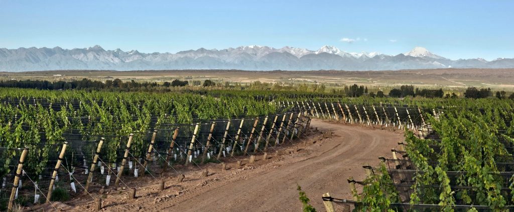 Dona Paula Los Cardos Syrah
