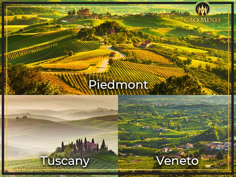 Vùng sản xuất rượu vang nho Ý nào nổi tiếng?