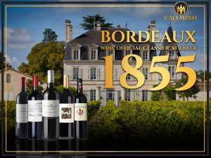Khám phá hệ thống phân hạng rượu vang Pháp và bảng xếp hạng rượu vang 1855