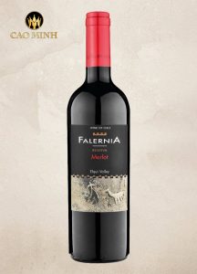 Rượu Vang Chile Falernia Merlot Reserva