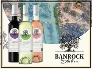 Banrock Station - Thương hiệu rượu vang Úc thân thiện với môi trường