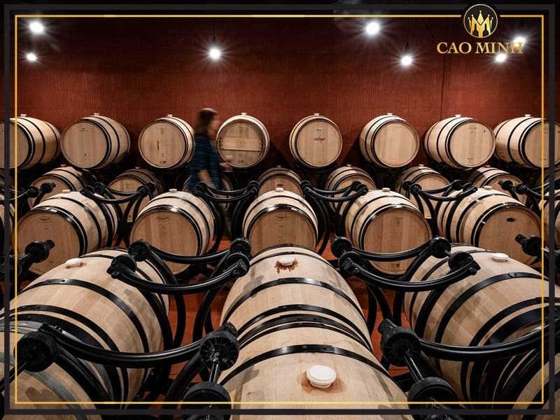 Rượu Vang Chile Amor de Chile Sauvignon Blanc được ủ trong các thùng gỗ sồi của Pháp