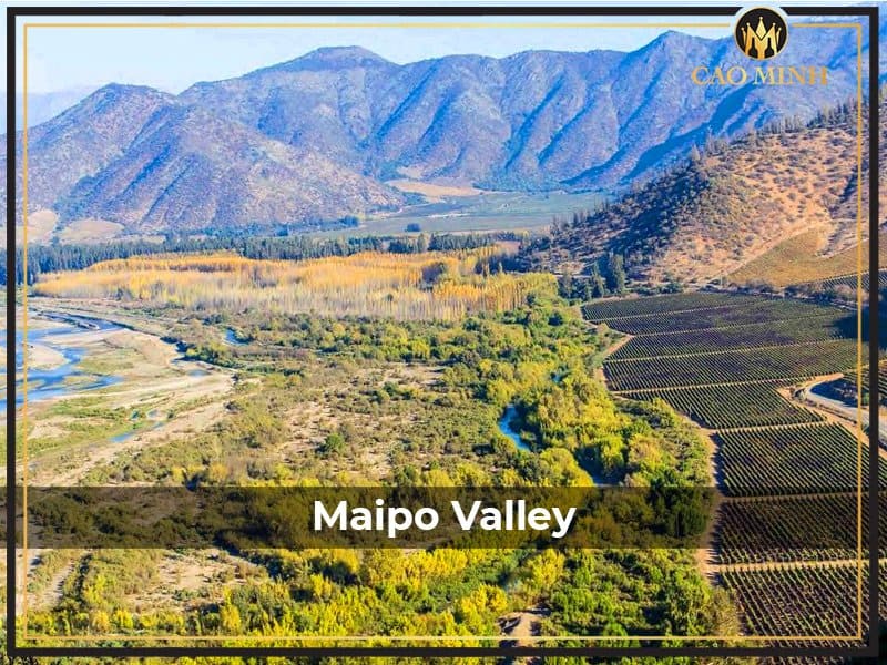 Khám phá vùng đất Maipo Valley - Vùng sản xuất rượu vang nổi tiếng tại Chile
