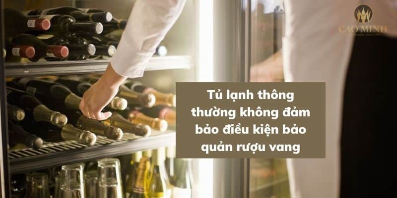 Tủ lạnh thông thường không đảm bảo điều kiện bảo quản rượu vang