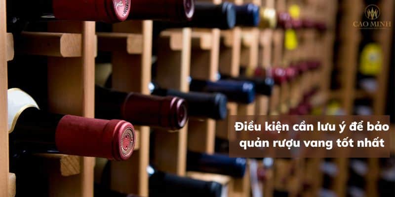 Điều kiện cần lưu ý để bảo quản rượu vang tốt nhất