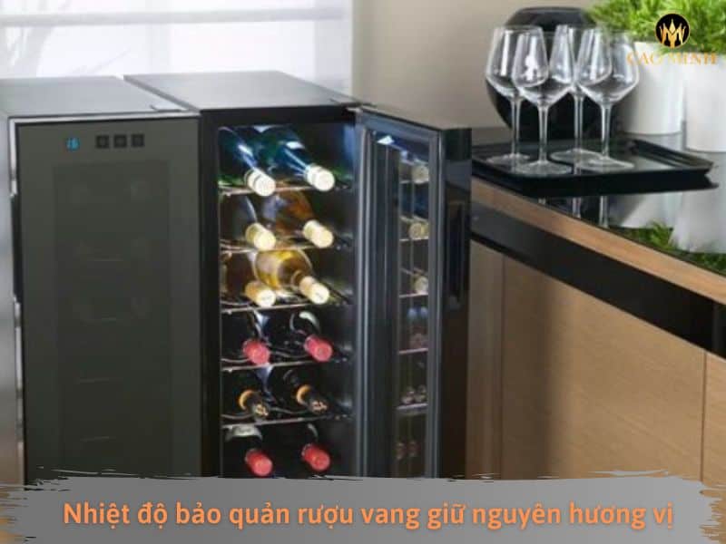 [Chuyên gia chia sẻ] Nhiệt độ bảo quản rượu vang giữ nguyên mùi vị 