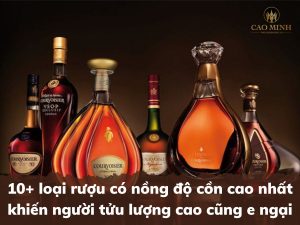 10+ loại rượu có nồng độ cồn cao nhất khiến người tửu lượng cao cũng e ngại