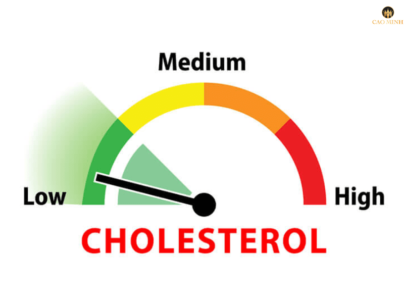 Tác dụng của rượu vang đỏ: Giảm lượng cholesterol xấu