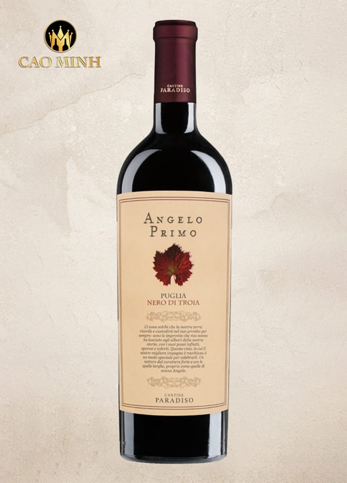 Rượu Vang Đỏ Ý Cantine Paradiso Angelo Primo