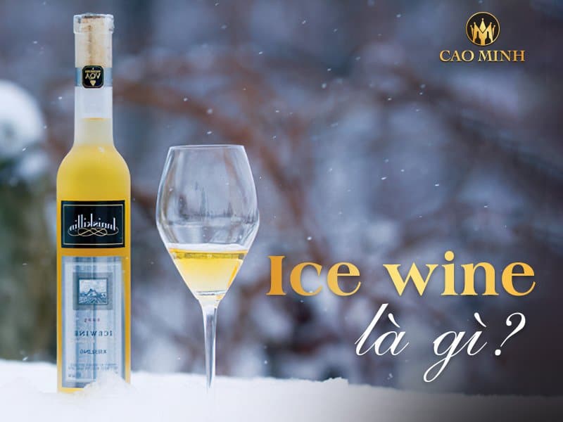 Ice wine là gì? Khám phá sự thật thú vị về Ice wine - Kiệt tác thượng hạng của thế giới.