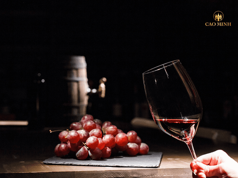Hướng dẫn trải nghiệm rượu vang Ý Magnus Primitivo