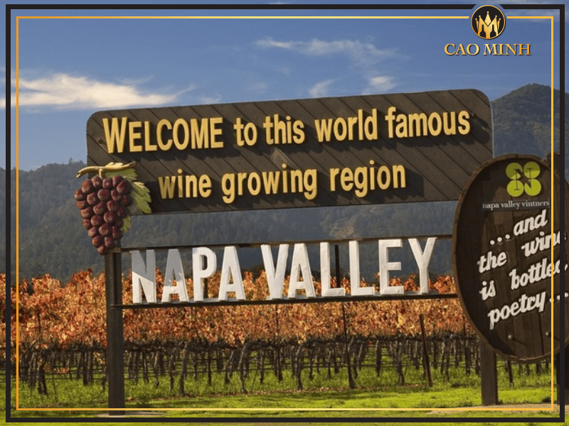 Napa Valley - vùng sản xuất rượu Mỹ vang Napa Valley 99 Syrah