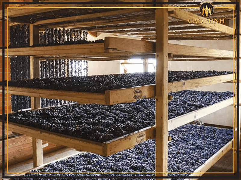 Quy trình sản xuất rượu vang Ý Aimone Vino Rosso d'Italia