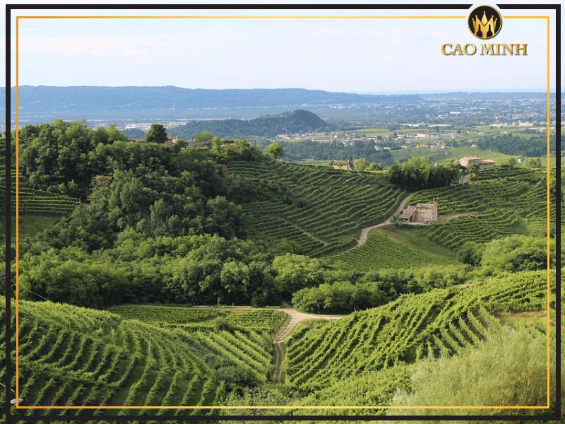 Veneto - Vùng sản xuất rượu vang Torrente