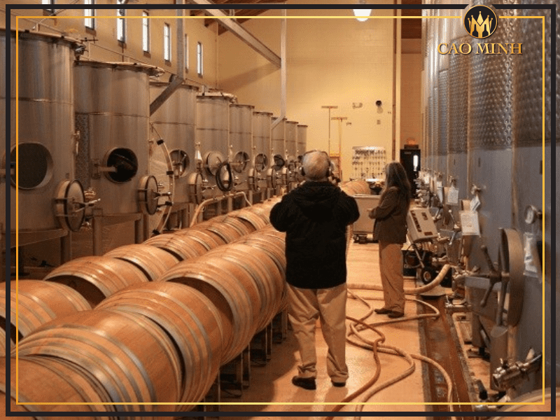 Quy trình sản xuất của chai rượu vang Ý Per Te Zinfandel Puglia IGT