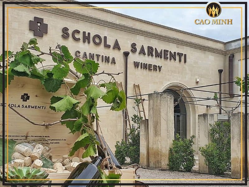 Giới thiệu về nhà rượu vang nổi tiếng bậc nhất nước Ý - Schola Sarmenti