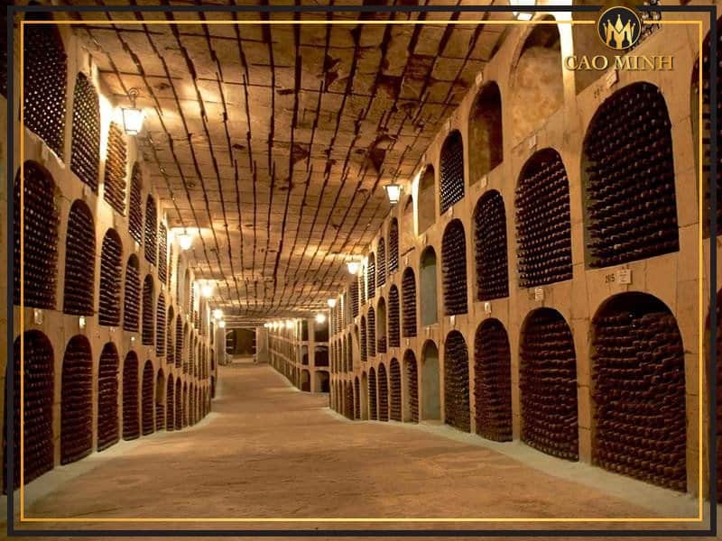 Đường hầm cất giữ rượu vang dài nhất thế giới 