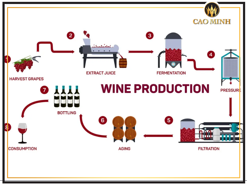 Quy trình sản xuất rượu Cava