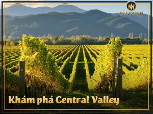 Khám phá Central Valley - Cái nôi của những chai rượu vang Chile tuyệt hảo