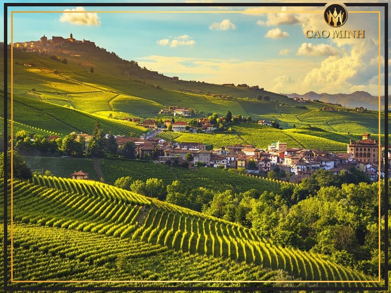 Vùng Piedmont - sản xuất chai vang Ý ngon hảo hạng