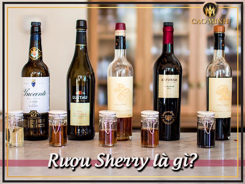 Rượu Sherry là gì? 4 Điều thú vị đang chờ bạn khám phá