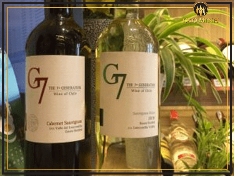 Cao Minh cung cấp đa dạng các mẫu rượu vang G7 chính hãng, giá thành hợp lý 