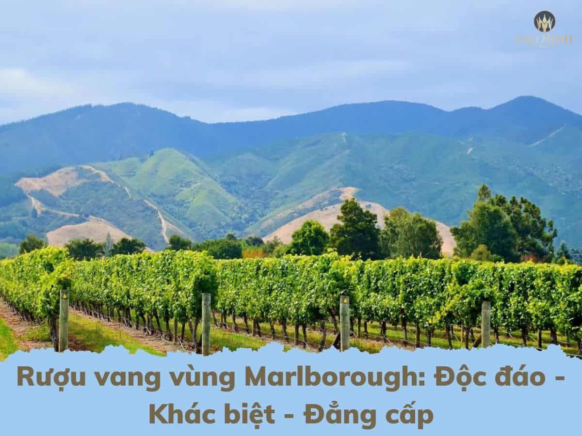 Rượu vang vùng Marlborough: Độc đáo - Khác biệt - Đẳng cấp