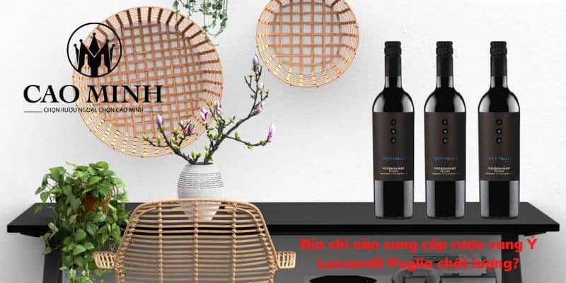 Địa chỉ nào cung cấp rượu vang Luccarelli Puglia chất lượng?