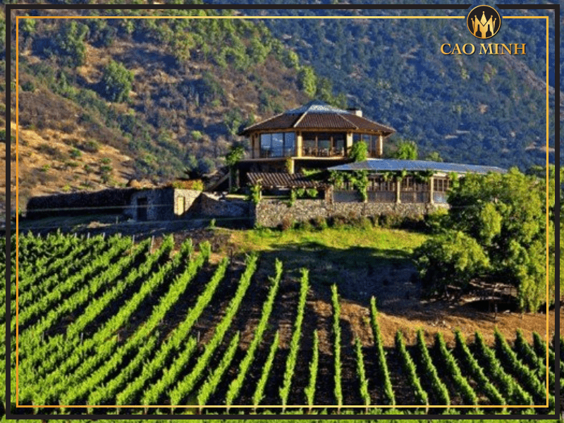 Thung lũng Colchagua - Nơi tạo nên rượu vang Montes Alpha Special Cuvee Cabernet Sauvignon